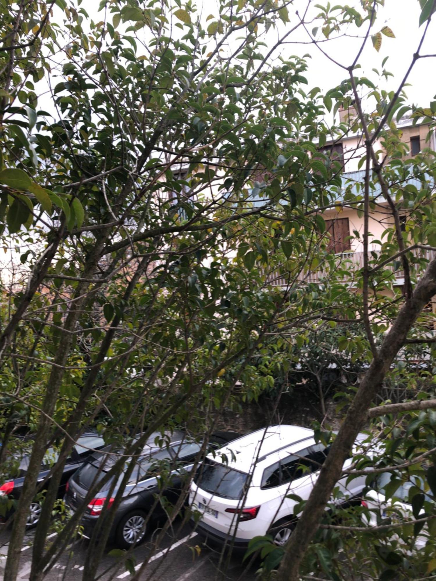 Logement Promenade De La Torse A Aix-En-Provence Exteriör bild